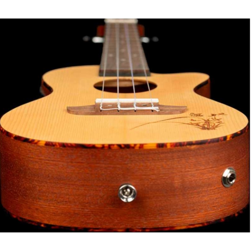 ORTEGA RU5CE Ukulele Concerto Elettrificato