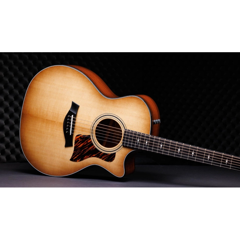 Taylor 314ce LTD 50th Anniversary