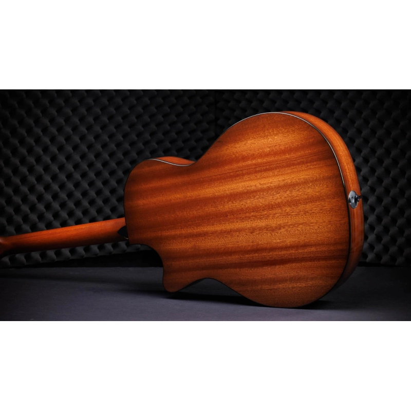 Taylor 314ce LTD 50th Anniversary