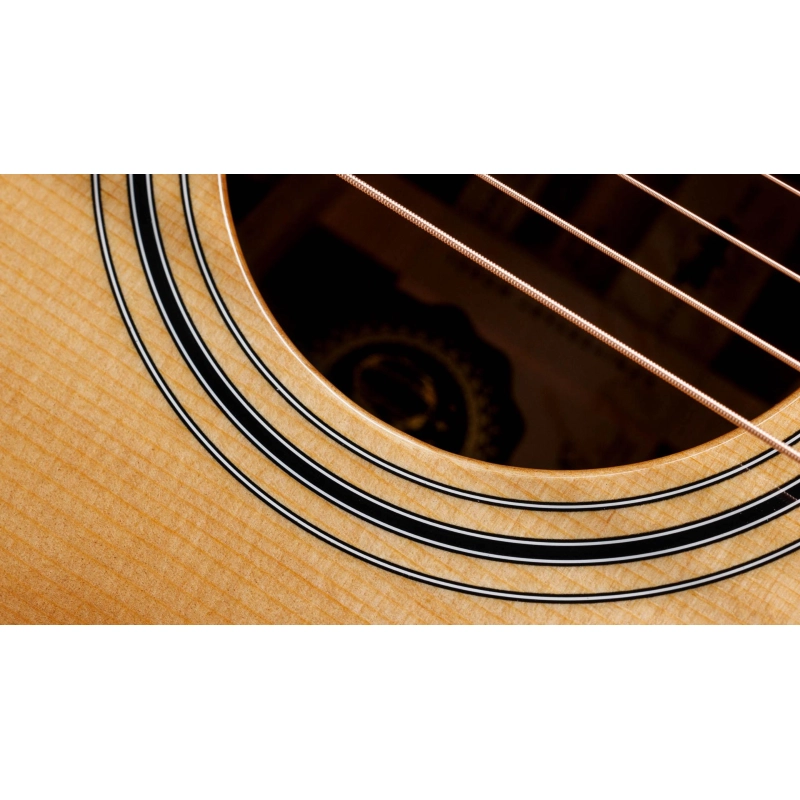 Taylor 314ce LTD 50th Anniversary
