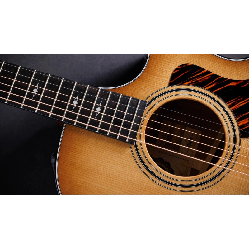 Taylor 314ce LTD 50th Anniversary