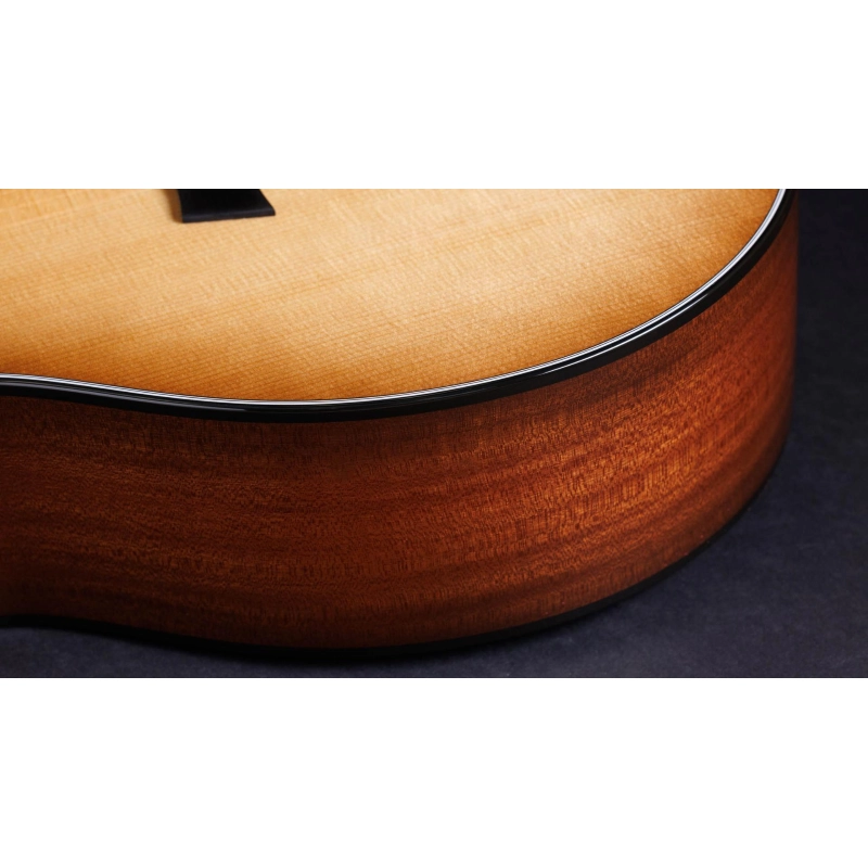 Taylor 314ce LTD 50th Anniversary