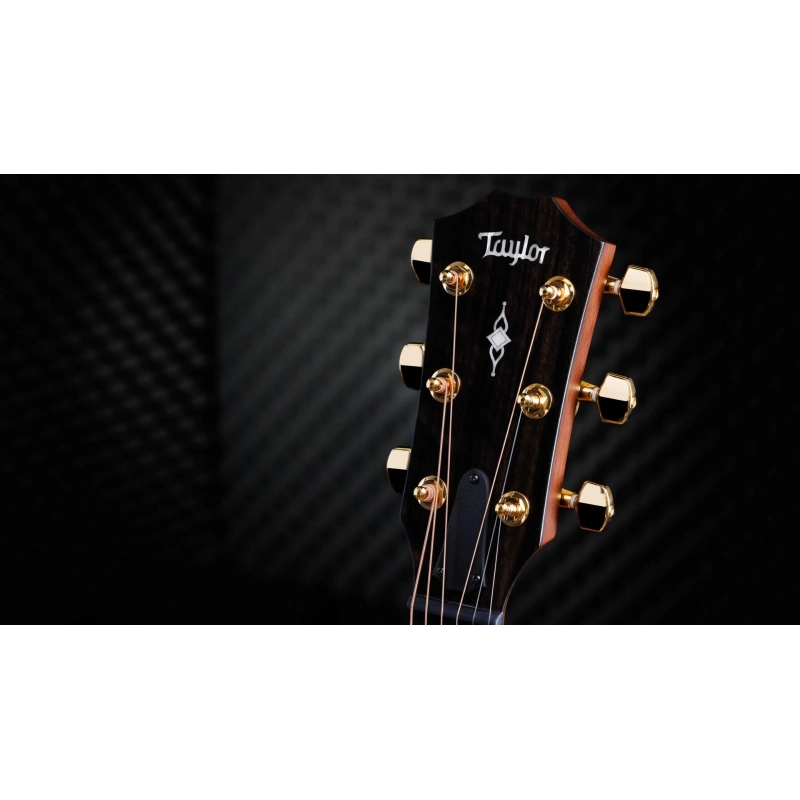 Taylor 314ce LTD 50th Anniversary