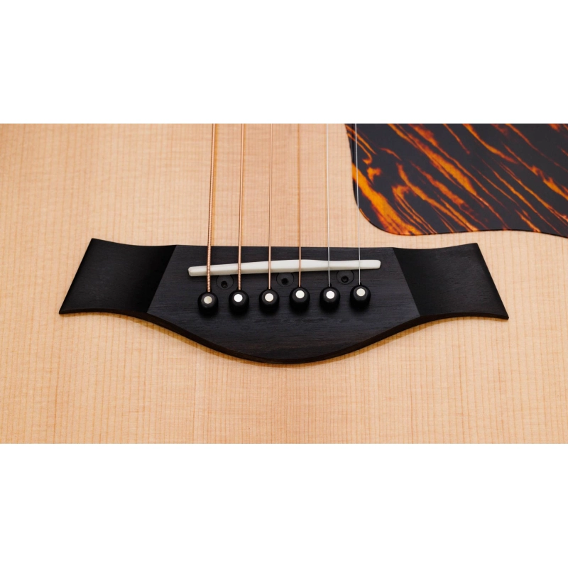 Taylor 314ce LTD 50th Anniversary