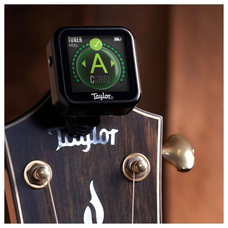 Taylor Beacon Clip-On Digital 5-Way Accessory, Black