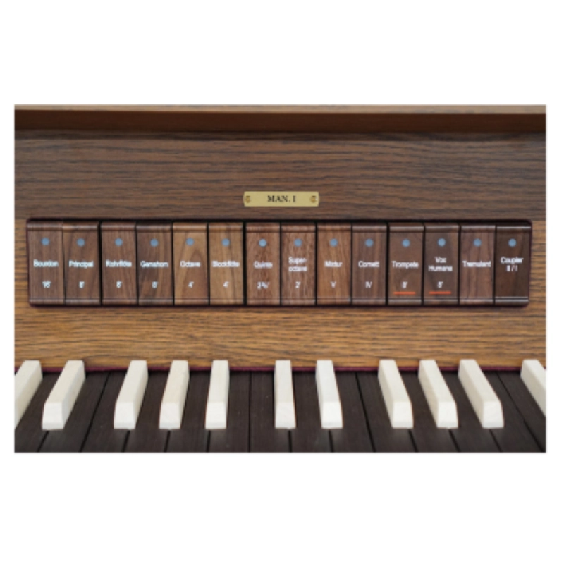 Viscount Sonus 40 Organo 2 manuali da 61 tasti laminato scuro