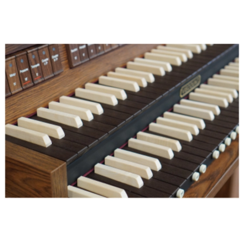 Viscount Sonus 40 Organo 2 manuali da 61 tasti laminato scuro