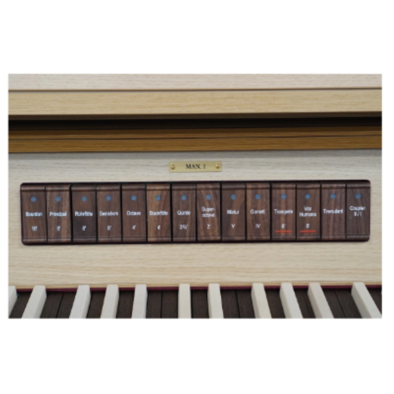 Viscount Sonus 45 Organo SPECIAL EDITION  2 manuali