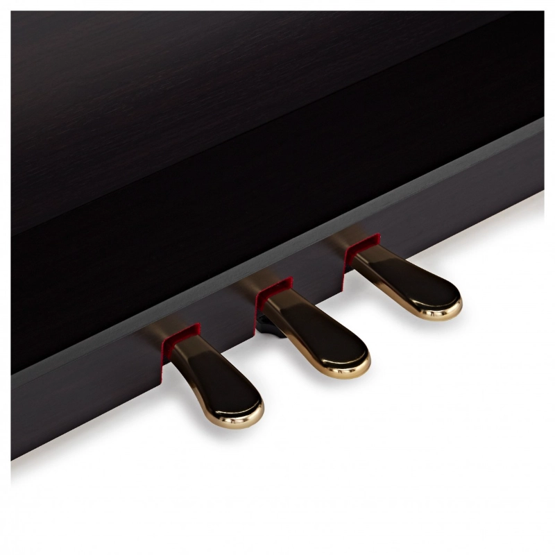 Kawai CN301R Rosewood Pianoforte Digitale 88 Tasti Palissandro Satinato