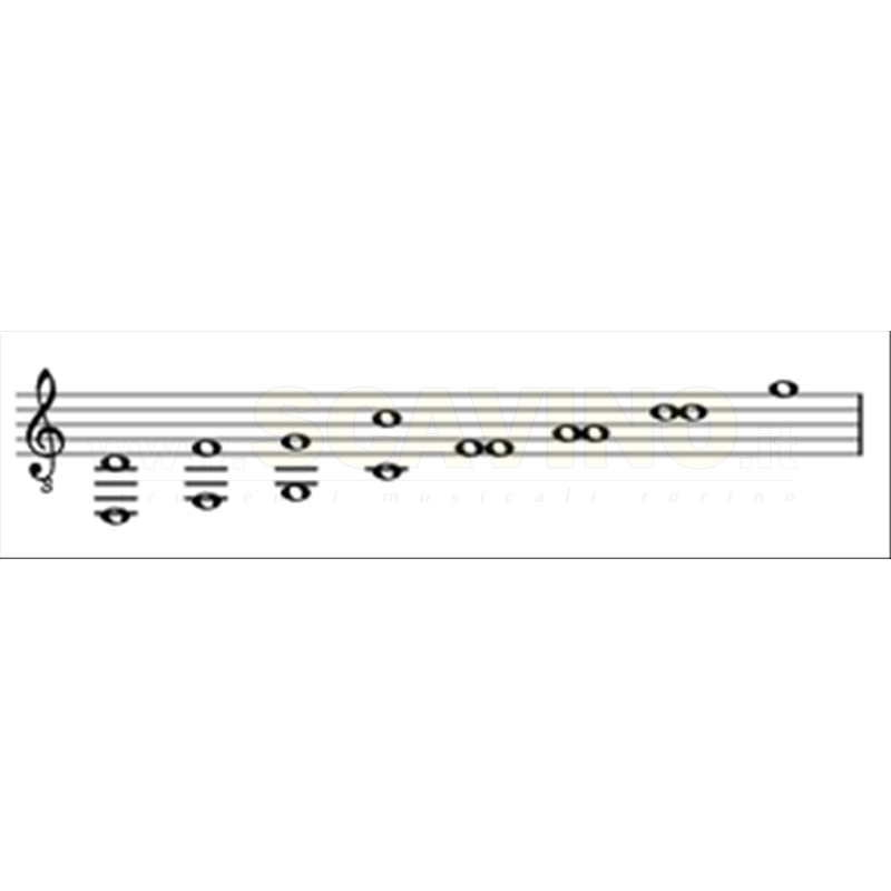 Liuto Rinascimentale 8 cori 15 corde Aquila, Body palissandro