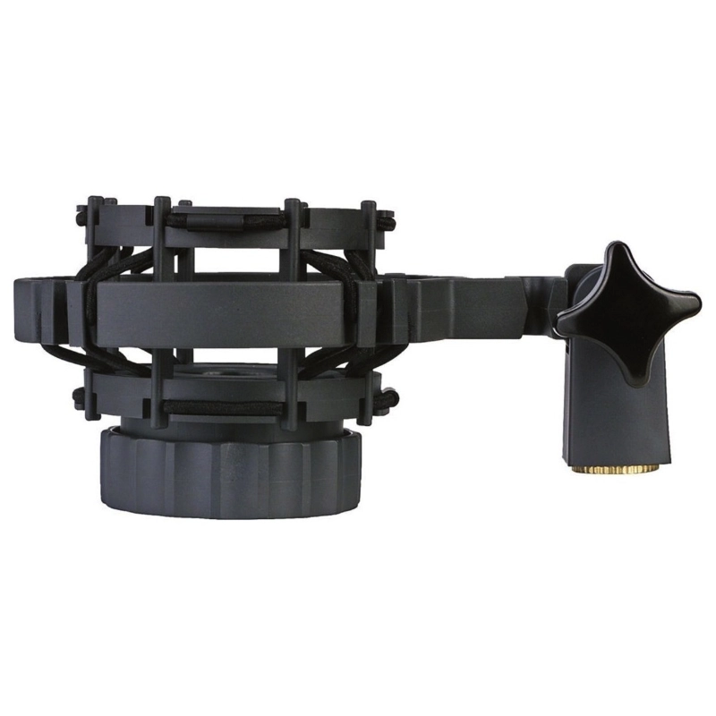 AKG C3000 Microfono Cardioide a Diaframma Largo per Voce e Strumenti