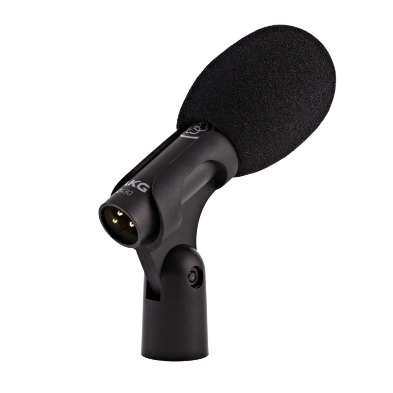 AKG C430 Microfono a Condensatore Cardioide per Strumenti