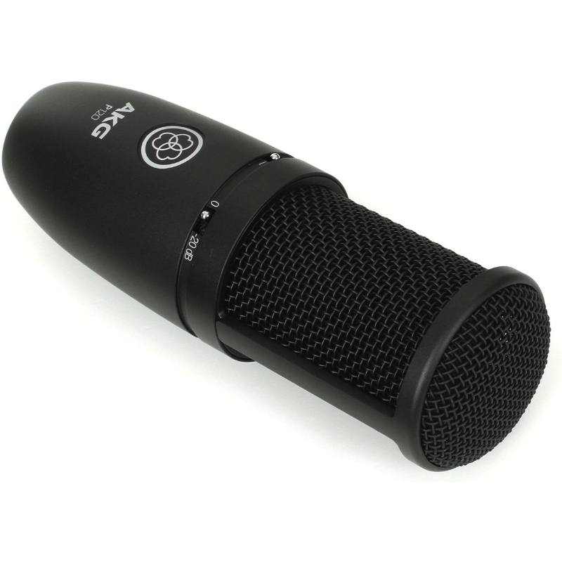 AKG P120 Microfono Cardioide a Condensatore a Diaframma Largo
