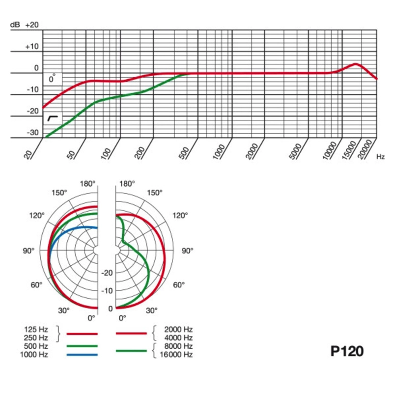 AKG P120 Microfono Cardioide a Condensatore a Diaframma Largo