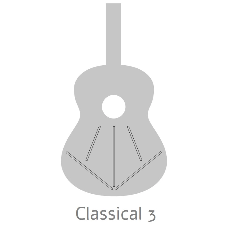 Alhambra Z-Nature Chitarra Classica con borsa