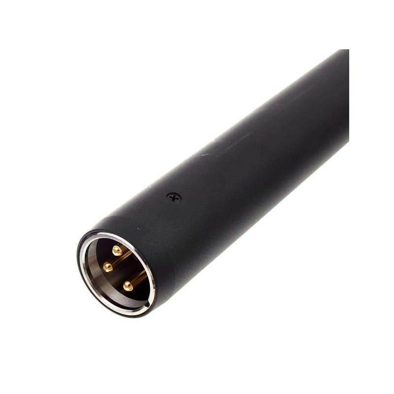 Audio Technica AT4022 Microfono a Condnsatore Omnidirezionale