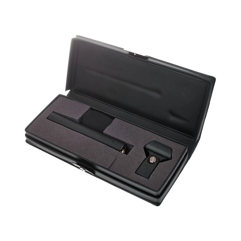 Audio Technica AT4022 Microfono a Condnsatore Omnidirezionale