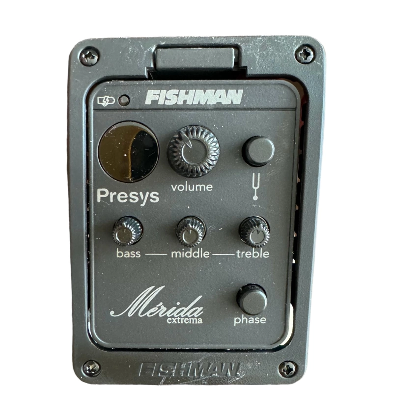 MERIDA DG20KOALCEH CHITARRA ACUSTICA ELETTRIFICATA