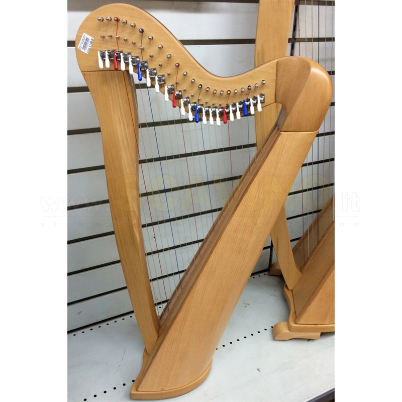 arpa celtica 22 corde Halifax