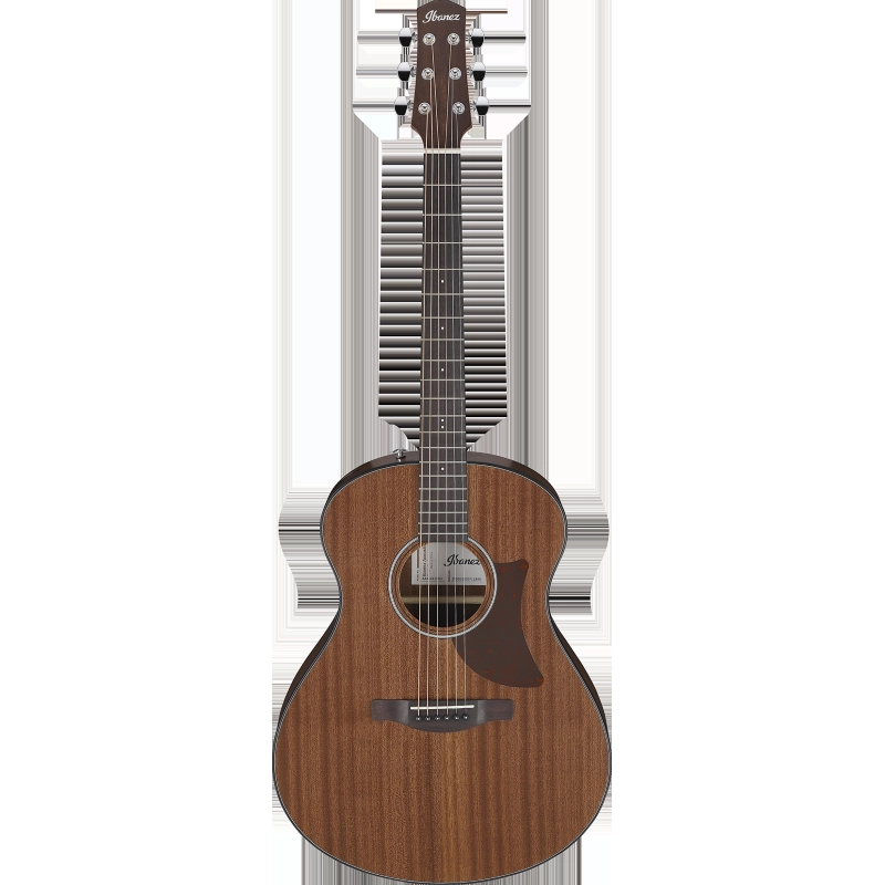 Ibanez AAM54OPN Chitarra Acustica Open Pore Natural
