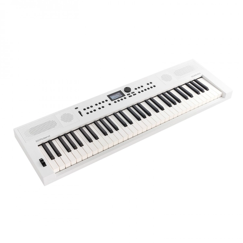 Roland GO KEYS 5 WH Tastiera Dinamica 61 Tasti Banca
