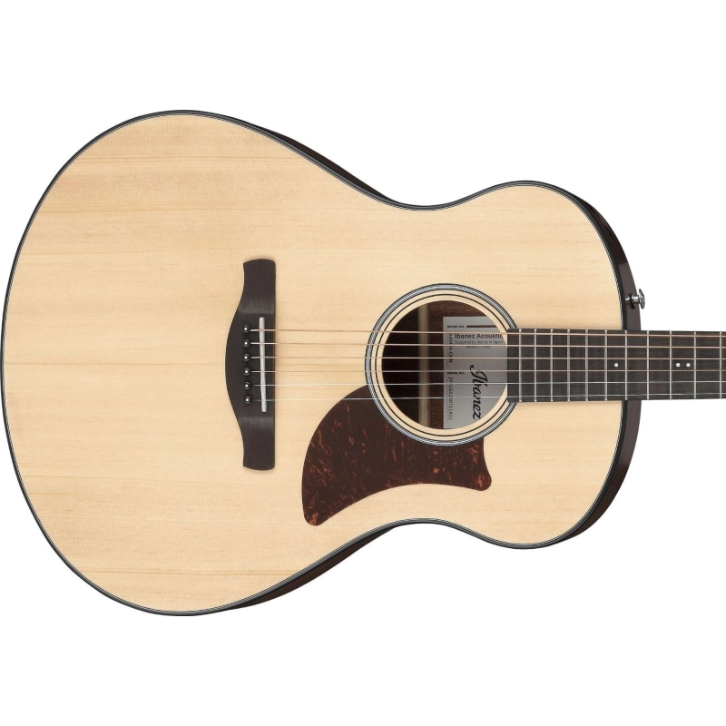 Ibanez AAM50OPN Chitarra Acustica Open Pore Natural