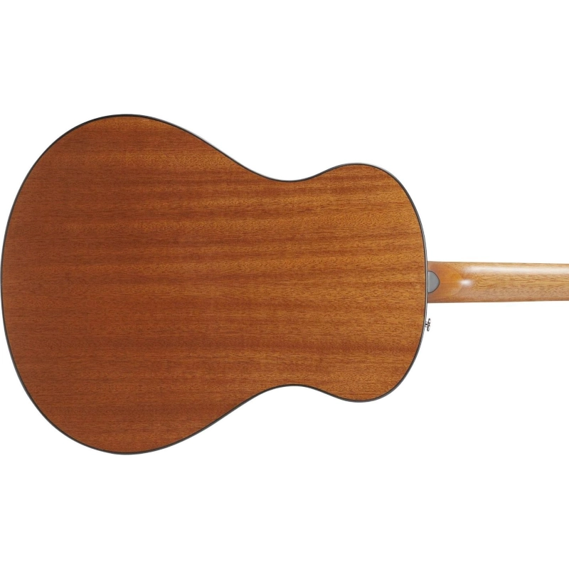 Ibanez AAM50OPN Chitarra Acustica Open Pore Natural