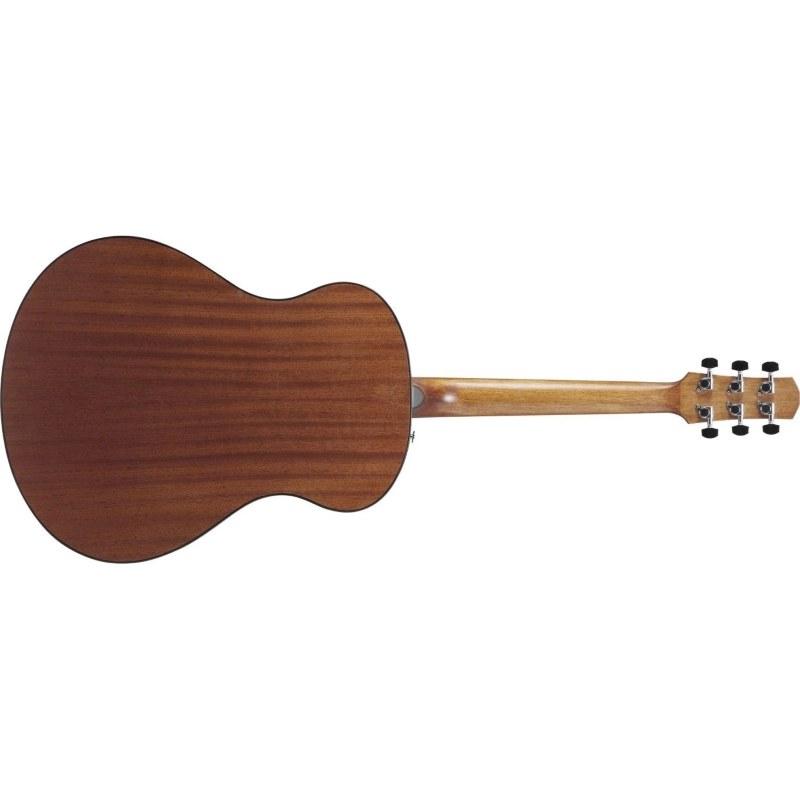 Ibanez AAM54OPN Chitarra Acustica Open Pore Natural