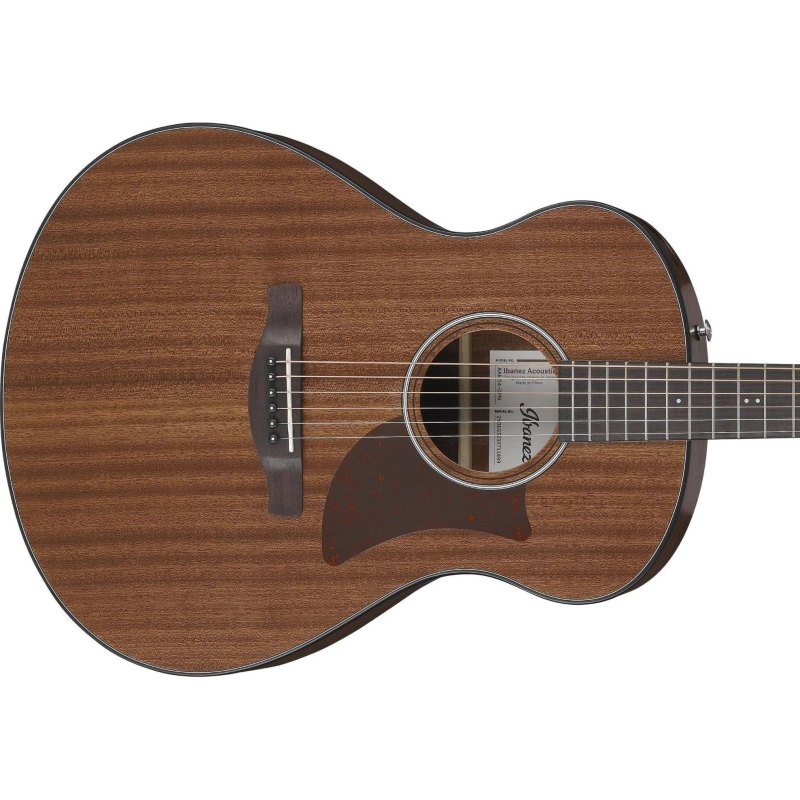 Ibanez AAM54OPN Chitarra Acustica Open Pore Natural