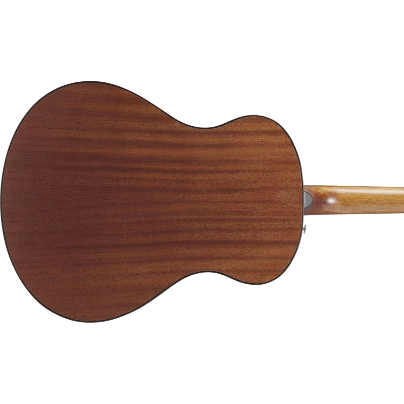 Ibanez AAM54OPN Chitarra Acustica Open Pore Natural