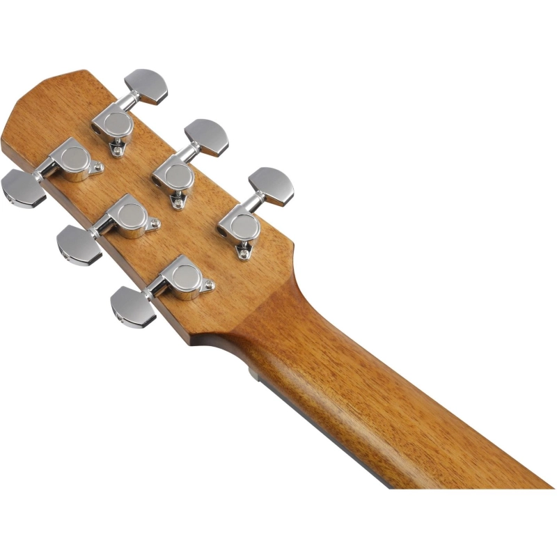 Ibanez AAM54OPN Chitarra Acustica Open Pore Natural