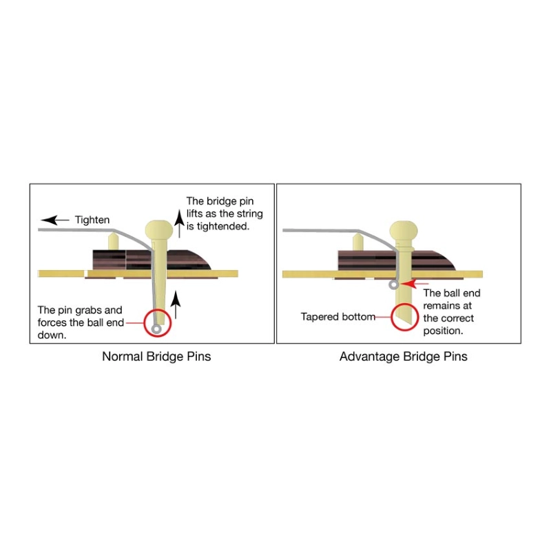 Ibanez AAD50 TCB Chitarra Acustica Transparent Charcoal Burst Low Gloss