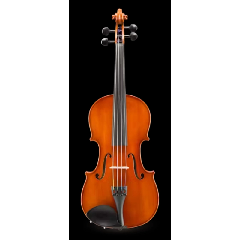 EASTMAN VL150SBC Violino Samuel Eastman 4/4 completo di arco e astuccio