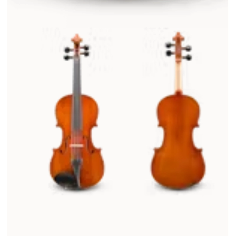 EASTMAN VL150SBC Violino Samuel Eastman 4/4 completo di arco e astuccio