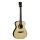 Eko WOW A800E SZ LTD (Spruce/Ziricote)