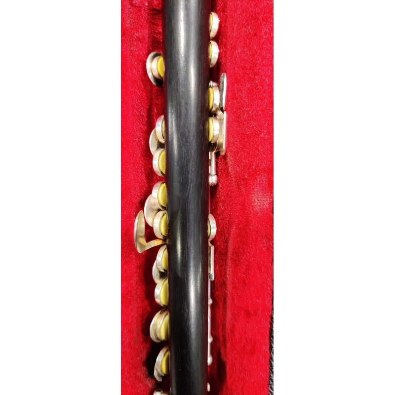 usato Philipp Hammig Ottavino in Ebano