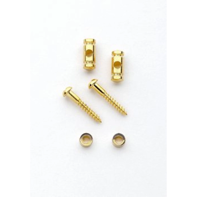 Allparts AP-0727-002 Gold Barrel String Guides,