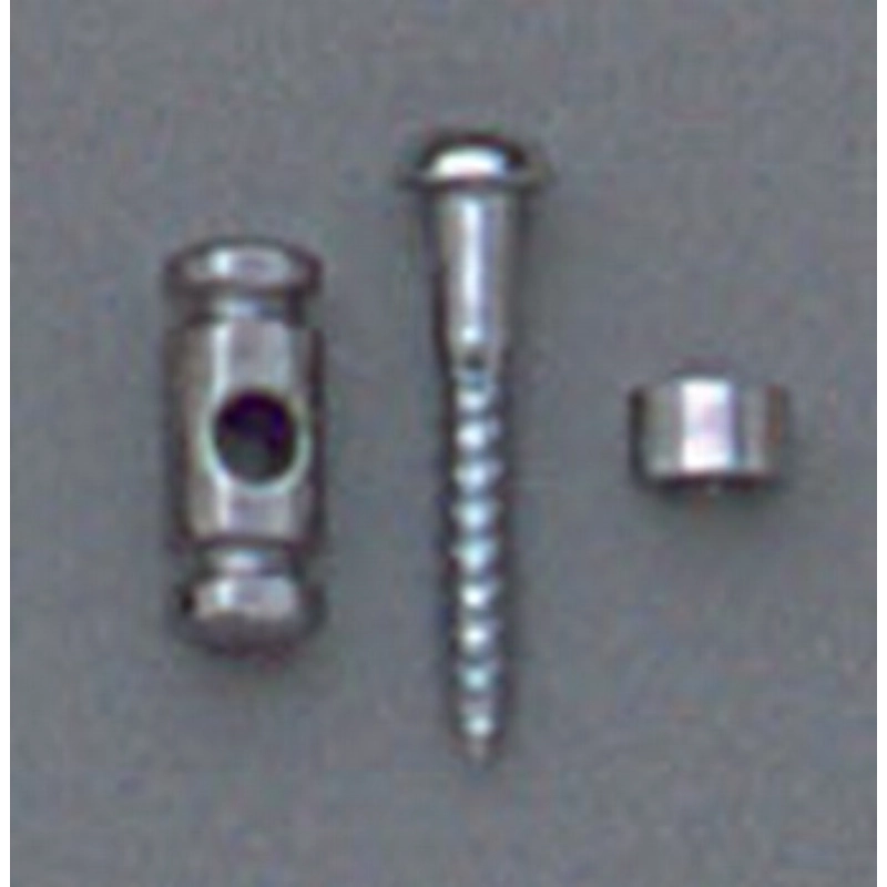 Allparts AP-0727-010 Chrome Barrel String Guides