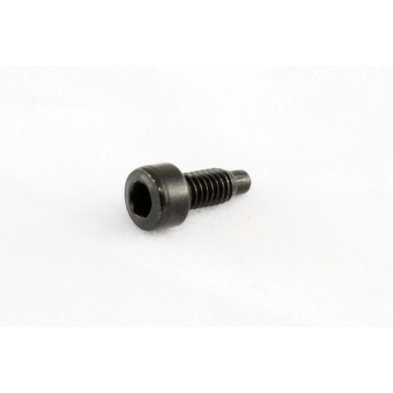 Allparts GS-3387-003 Pack of 6 String Lock Screws