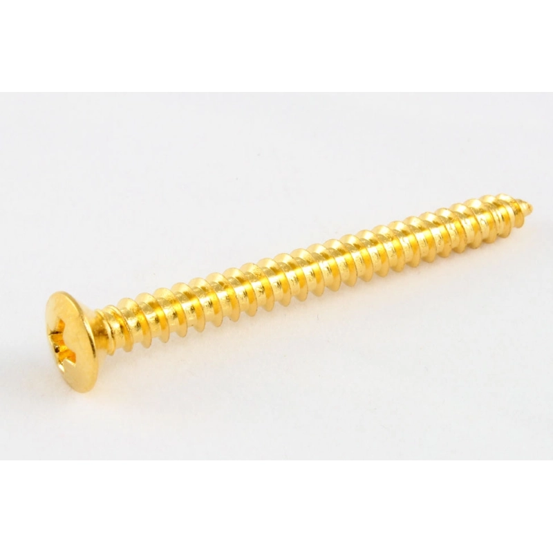 Allparts GS-0005-002 Pack of 4 Gold Neckplate Screws