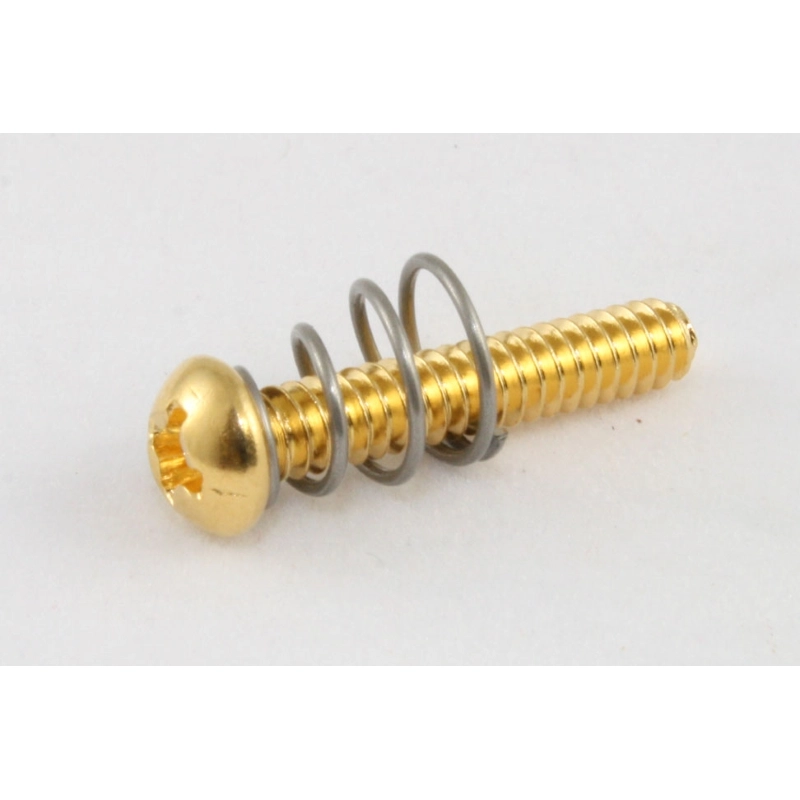 Allparts GS-0007-002 Pack of 8 Gold Single Coil Pickup Screws and Spring