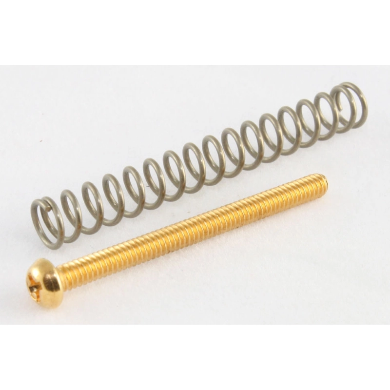Allparts GS-0012-002 Pack of 4 Gold Humbucking Screws (includes springs)