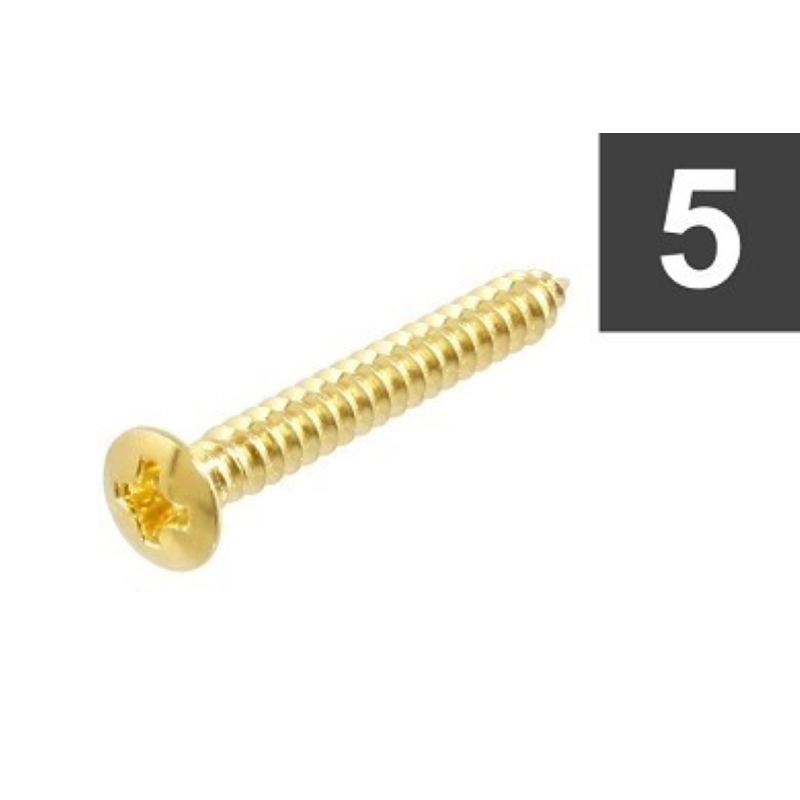 Allparts GS-3363-002 Pack of 5 Gold Bridge mounting screws