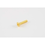 Allparts GS-3378-002 Pack of 6 Gold Short Tuner Button Screws