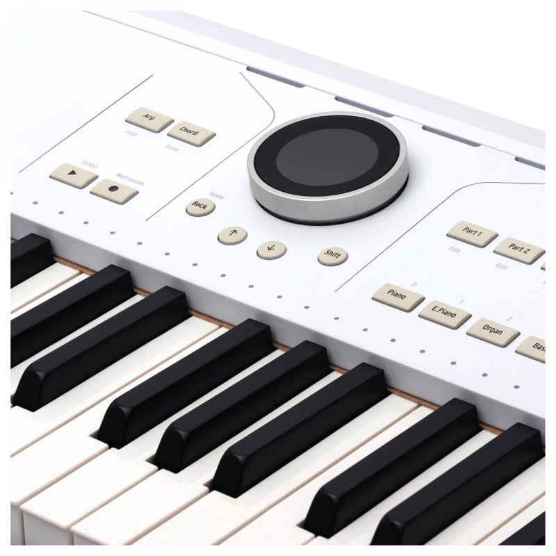 Arturia AstroLab 61 Tastiera 61 Tasti per Palco e Produzione Musicale