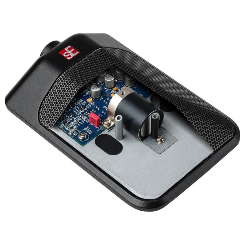 sE Electronics BL8 Omni Microfono Omnidirezionale per Grancassa