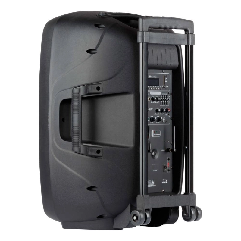 ITALIAN STAGE IS FR15AWV2 Sistema Trolley Amplificato a batteria usb e bluetooth doppio Radiomicrofono