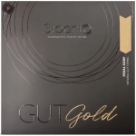 SALVI CORDE PER ARPA A PEDALI prima ottava  MI1 budello Gut Gold