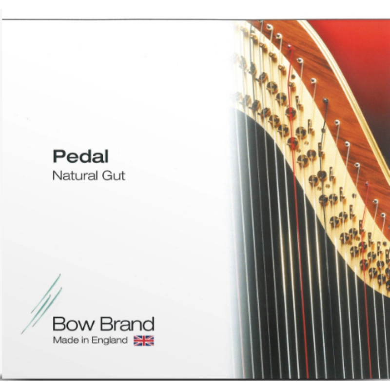 SALVI CORDE PER ARPA A PEDALI terza ottava LA18 budello Gut Gold