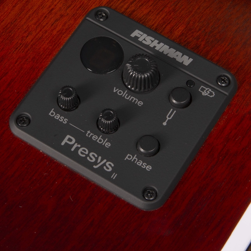 Seagull Entourage Autumn Burst Presys II